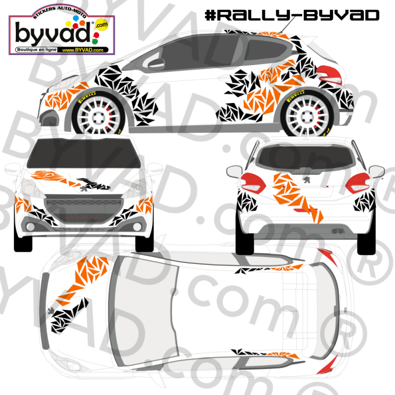 KIT DECO RALLY BYVAD 69 !