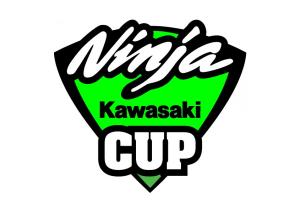 Stickers Kawasaki Ninja CUP