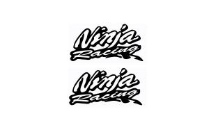 2 Stickers Kawasaki Ninja Racing 