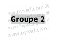 Sticker Groupe 2 Renault 5